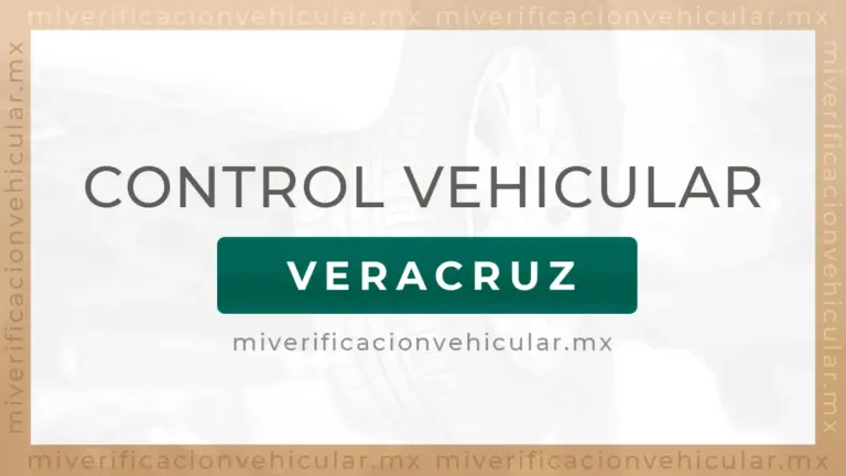 Control Vehicular Veracruz