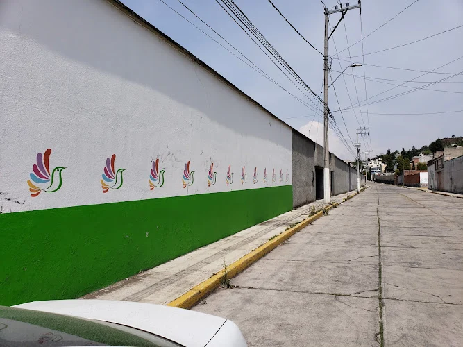 Verificentro Toluca Centro