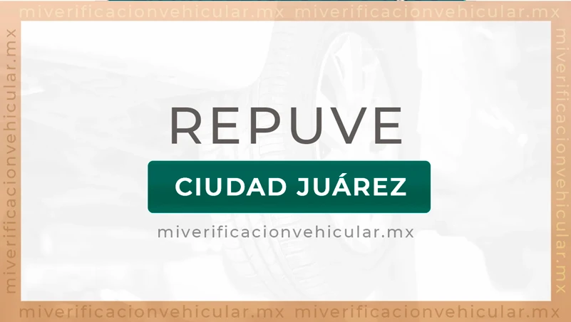 Repuve CD Juárez