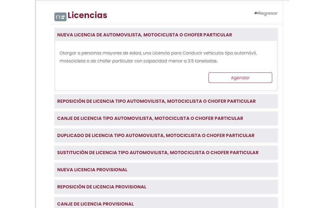 Citas Licencia Puebla
