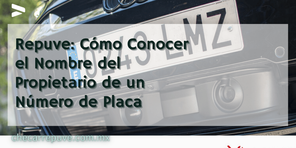 Repuve Nombre del Propietario